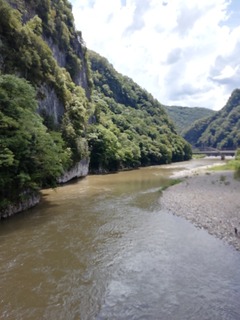 IMG_20230827_130841