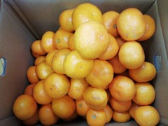 IMG_20221119_155020