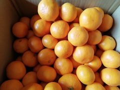 IMG_20201122_112139