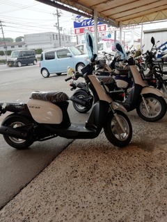 IMG_20250425_123329