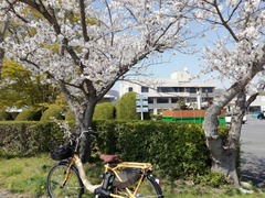 IMG_20230331_141335