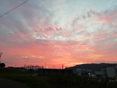 IMG_20210911_182659