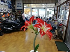IMG_20200328_143621