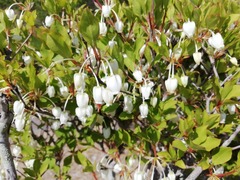 IMG_20210419_150432