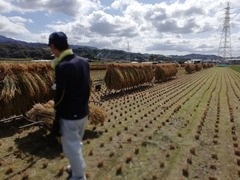 IMG_20191006_114431