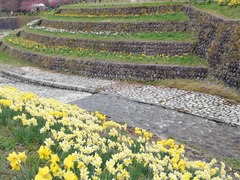 IMG_20240331_151629_1