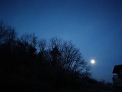IMG_20220218_062346