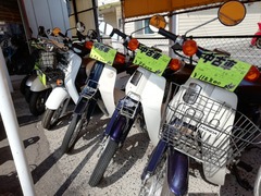 IMG_20210224_130547