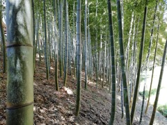 IMG_20210411_115522