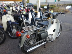 IMG_20240224_164203