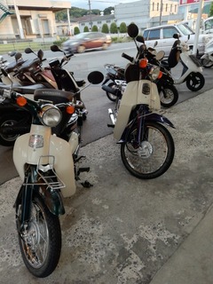 IMG_20240928_174004