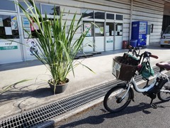 IMG_20190625_163916