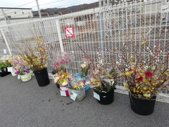 IMG_20210228_082359