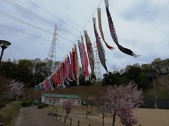 IMG_20230405_131730