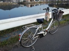 IMG_20210410_184732