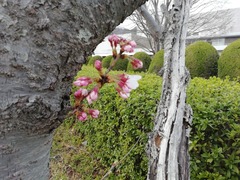IMG_20220328_163932