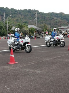 IMG_20241027_140120