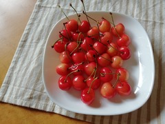 IMG_20200628_110925