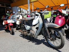 IMG_20200529_121918_BURST002