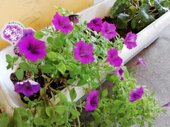 IMG_20220824_152206