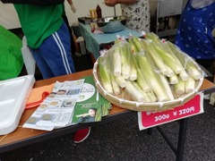 IMG_20191103_100538