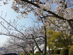 IMG_20230331_141603