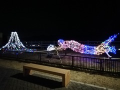 IMG_20191225_183339
