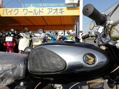 IMG_20210323_155622_BURST001_COVER