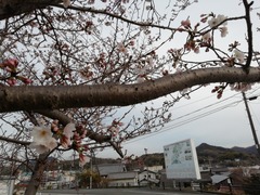 IMG_20220328_163854