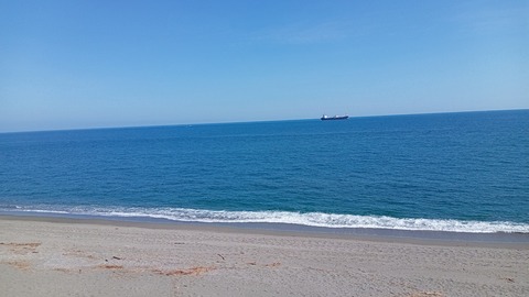 桂浜