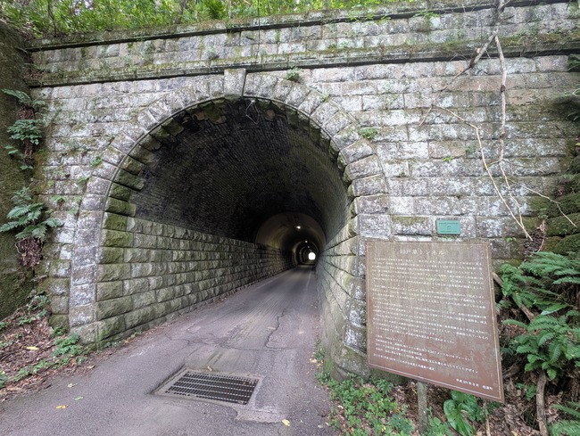 PXL_20260724_055552943
