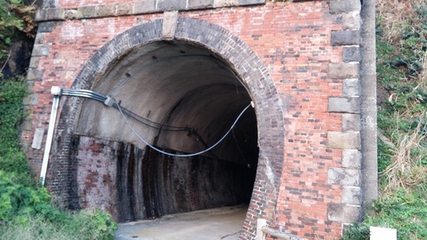 IMG00374