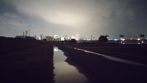 IMG00516