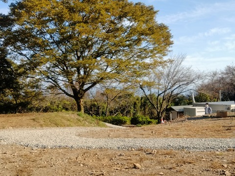 IMG20211030142347