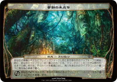 公式通販 MTG プレインチェイス 2012 4種類セット ボックス BOX 新品