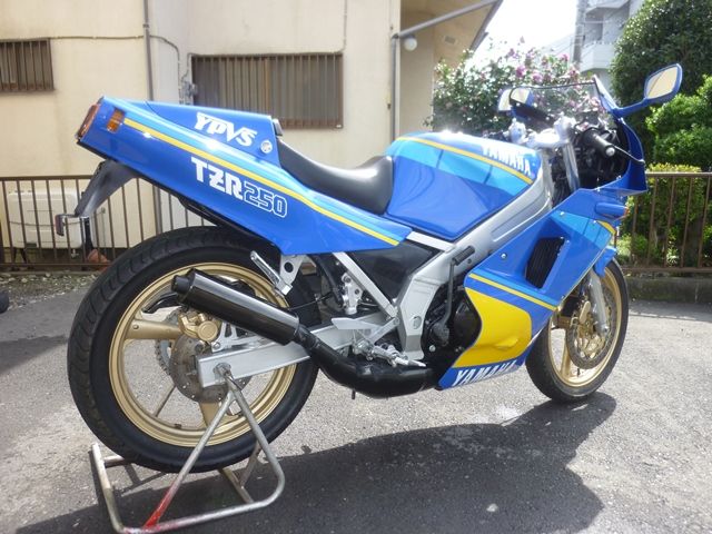 TZR250（1KT）車両交換希望です 【公式通販】