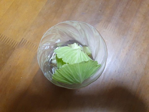 20191027_155659