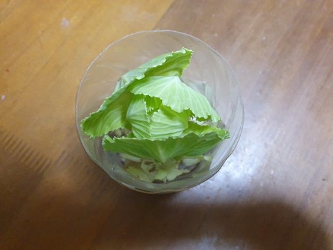 20191029_141840