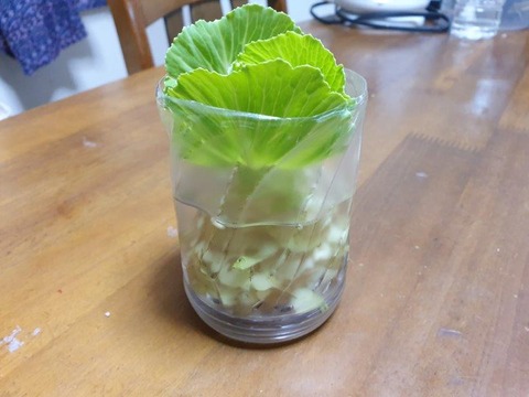 20191031_151855