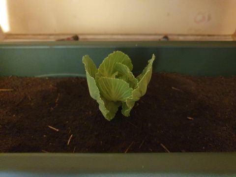 20191102_204605
