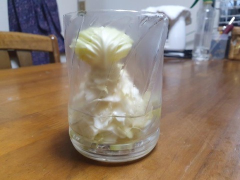 20191024_123850