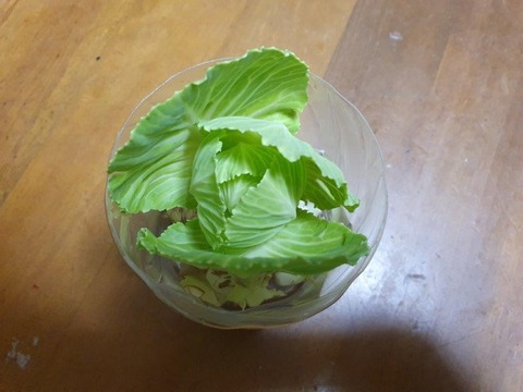 20191030_192851