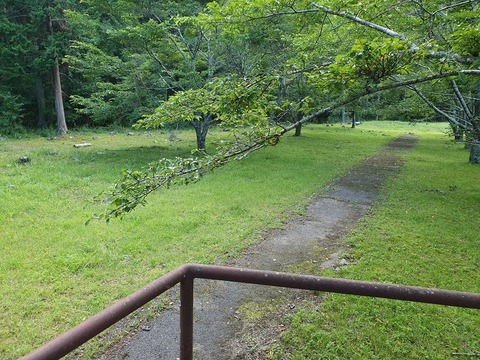 20190617_173259