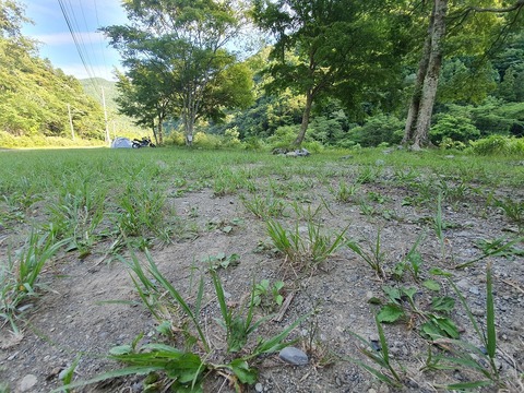 20190617_164928