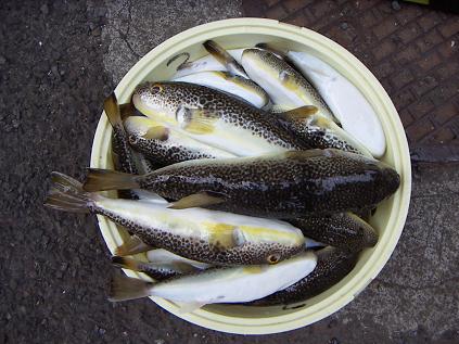 イメージ 6