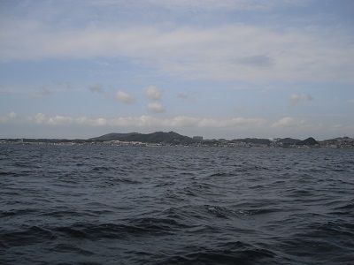 イメージ 7