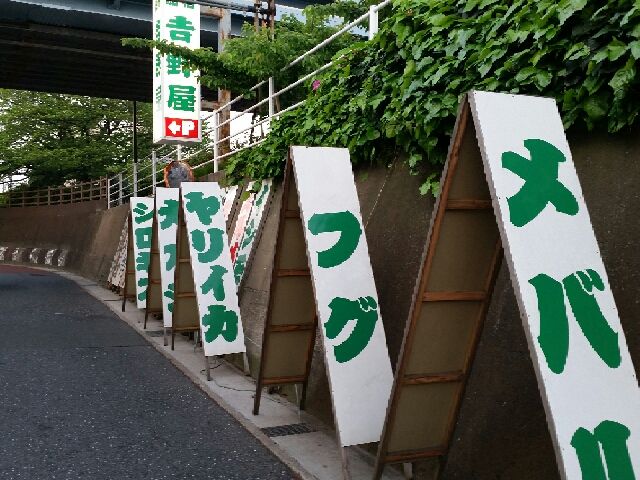 イメージ 1