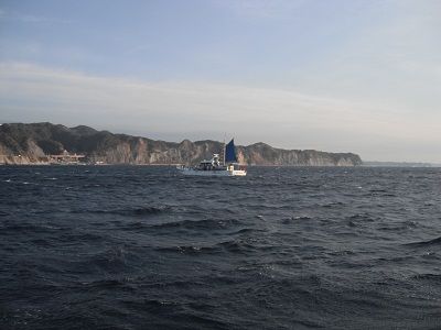 イメージ 7