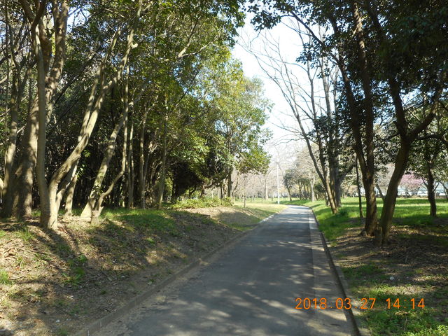 DSCN0108