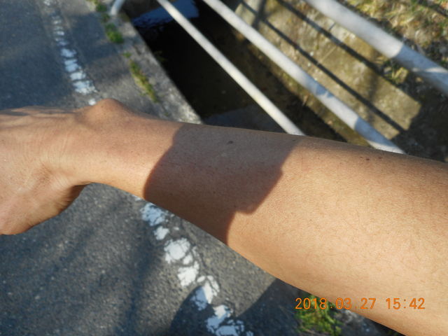 DSCN0123